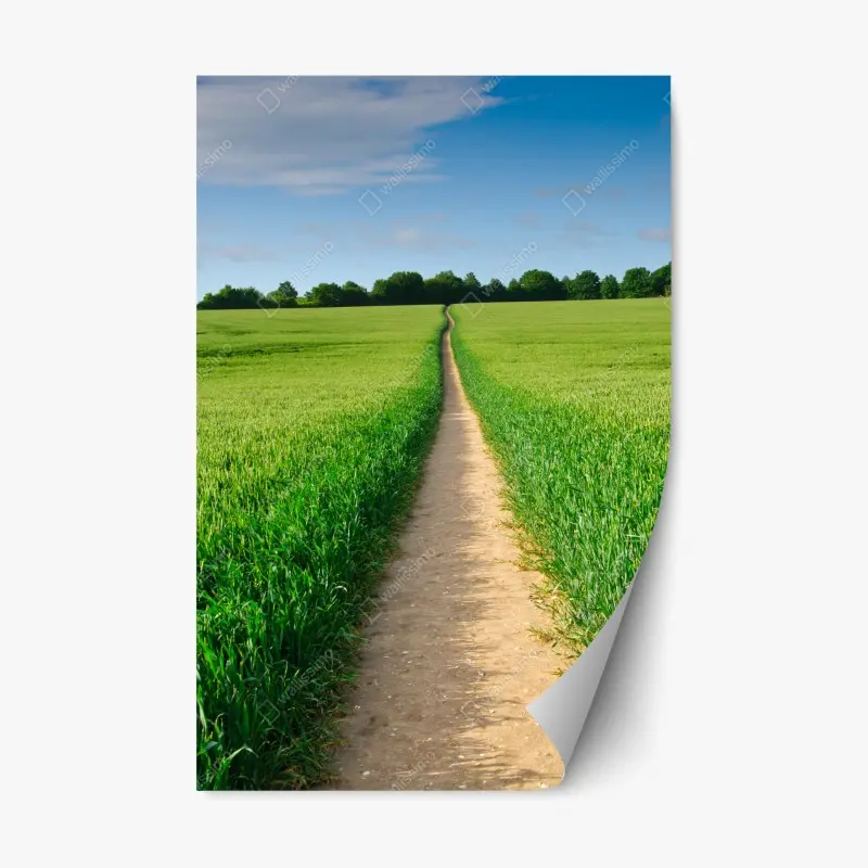 Repositionierbare Aufkleber – Wallnifity®