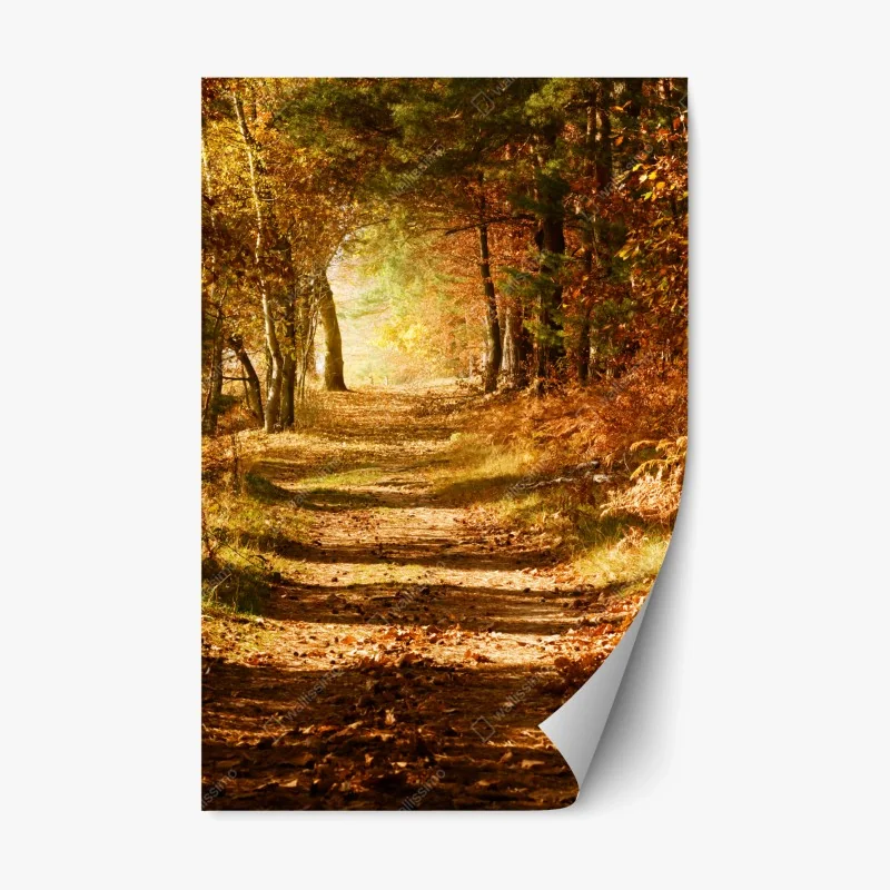 Repositionierbarer Aufkleber herbstlicher waldweg mit goldenem licht