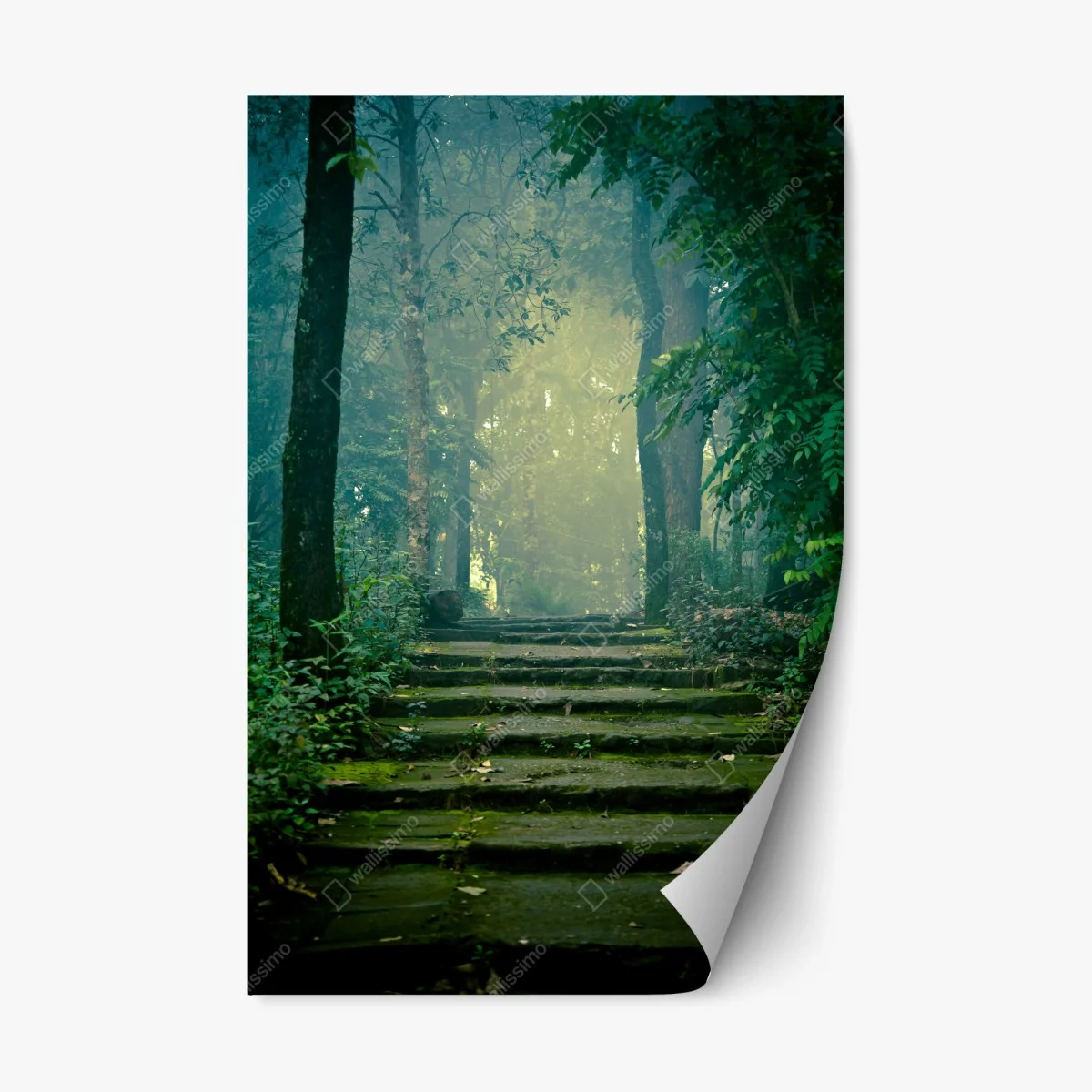Repositionierbarer Aufkleber moosbedeckte steintreppe in den nebligen wald – Wallnifity® Repositionierbarer Aufkleber moosbedeckte steintreppe in den nebligen wald – Wallnifity®