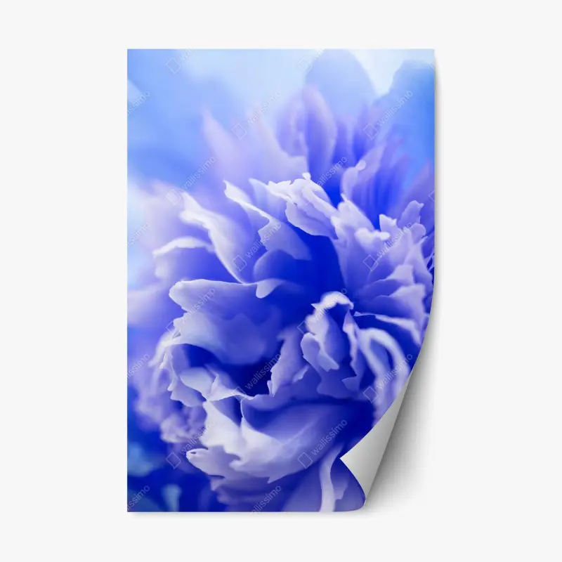 Schlafzimmer – Wallnifity®