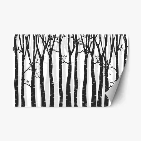 Repositionierbarer Aufkleber monochromatischer birkenwald – Wallnifity®