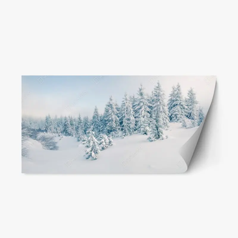 Landschaften – Wallnifity®