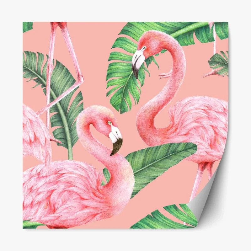 Vögel – Wallnifity®