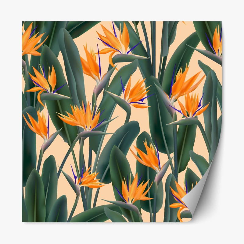 Boho – Wallnifity®