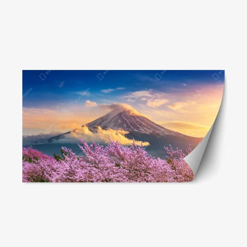 Orientalisch – Wallnifity®