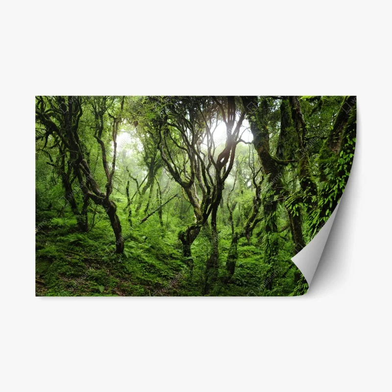 Repositionierbarer Aufkleber mystischer grüner wald