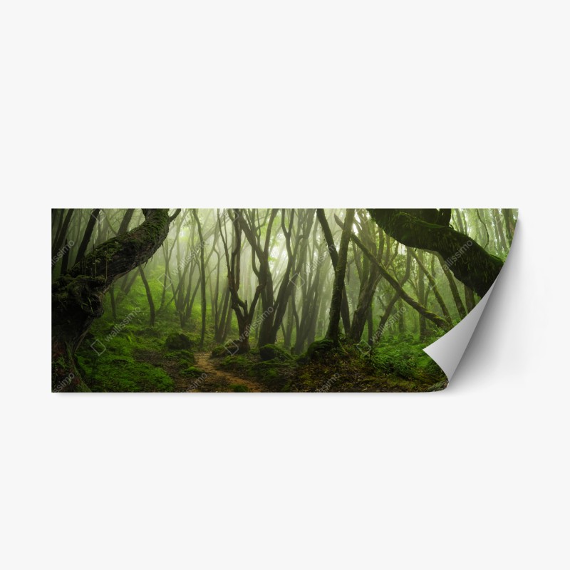Wohnzimmer – Wallnifity®