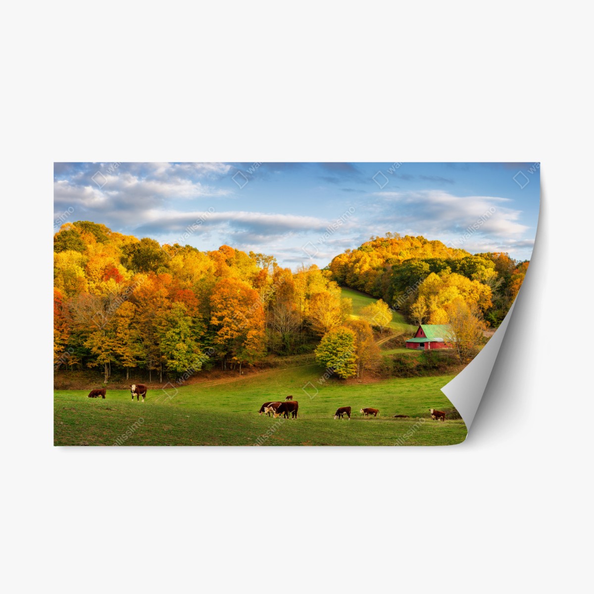Repositionierbarer Aufkleber herbstliche landschaft mit roter scheune – Wallnifity®