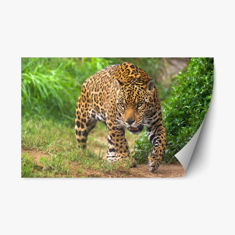 Tiere – Wallnifity®