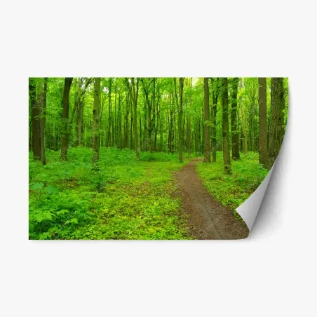 Repositionierbarer Aufkleber beruhigender grüner waldweg – Wallnifity®