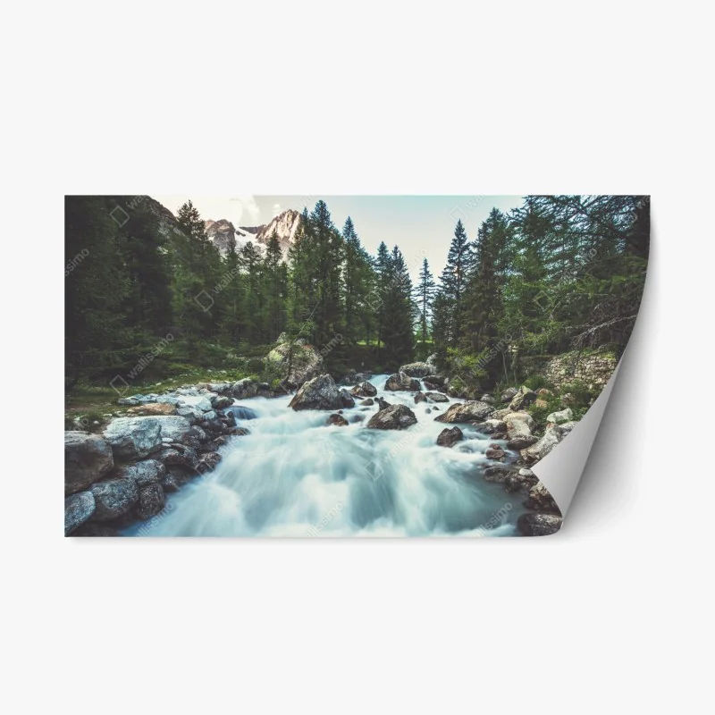 Natur – Wallnifity®