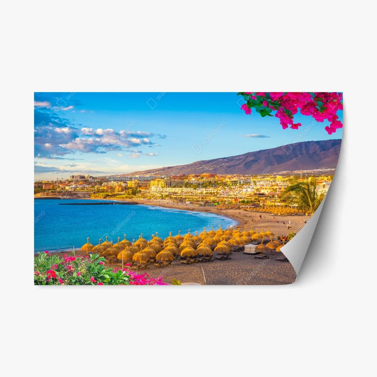 Repositionierbarer Aufkleber sonniger strand Torviscas, Teneriffa – Wallnifity® Repositionierbarer Aufkleber sonniger strand Torviscas, Teneriffa – Wallnifity®