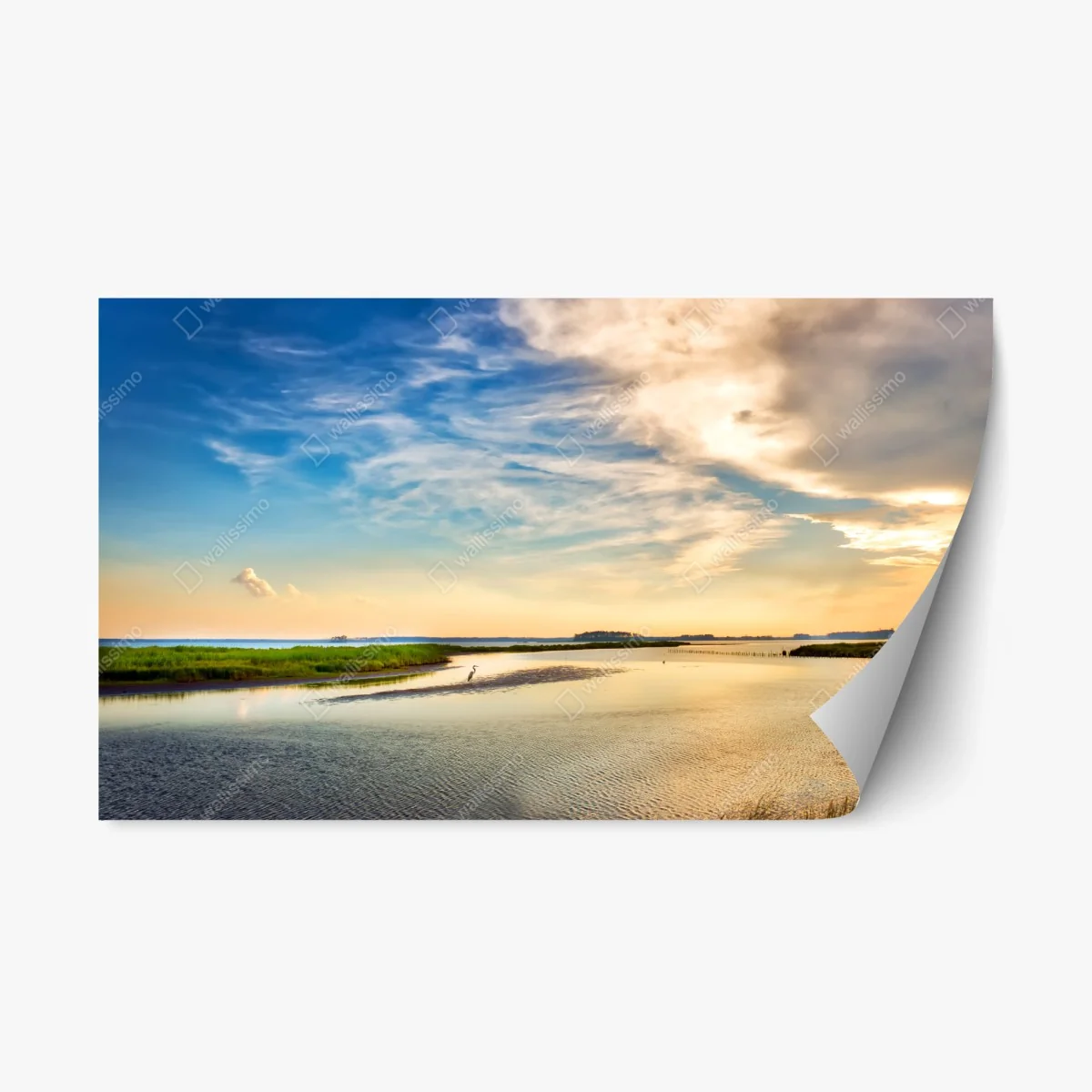 Repositionierbarer Aufkleber graureiher in der Chesapeake-Bucht bei sonnenuntergang – Wallnifity® Repositionierbarer Aufkleber graureiher in der Chesapeake-Bucht bei sonnenuntergang – Wallnifity®