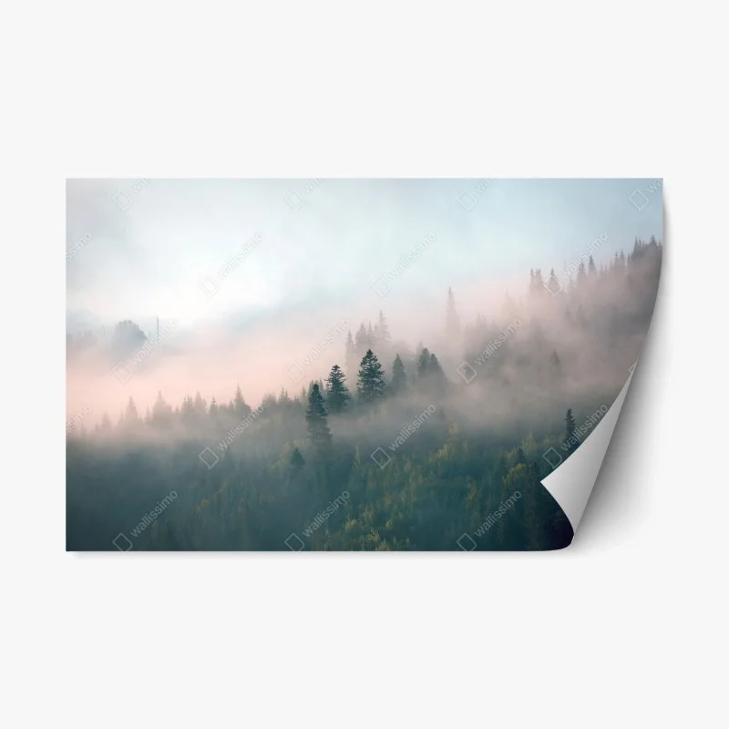 Natur – Wallnifity®