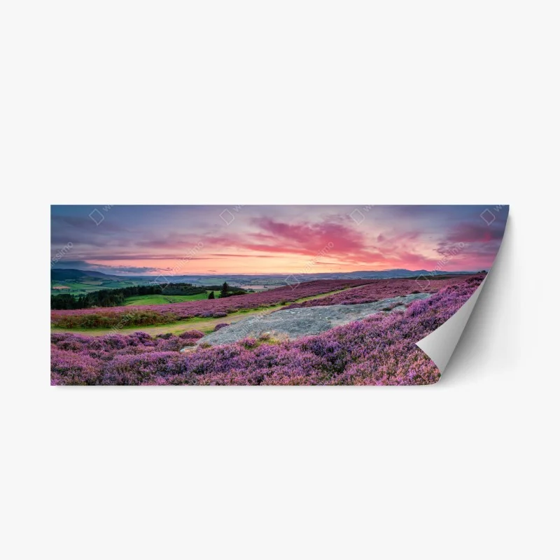 Repositionierbarer Aufkleber violette heideflächen bei sonnenuntergang