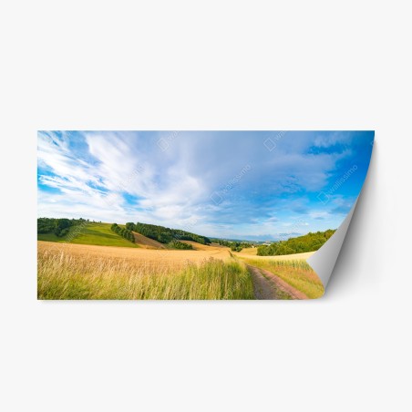 Repositionierbarer Aufkleber morgendliche weizenlandschaft in Kansas – Wallnifity®