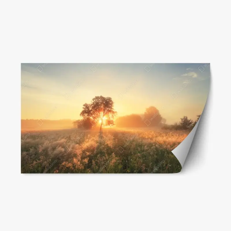 Repositionierbarer Aufkleber goldener sonnenaufgang über nebliger wiese