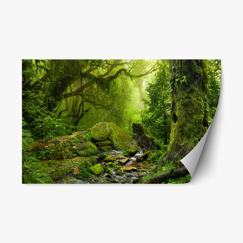 Wohnzimmer – Wallnifity®