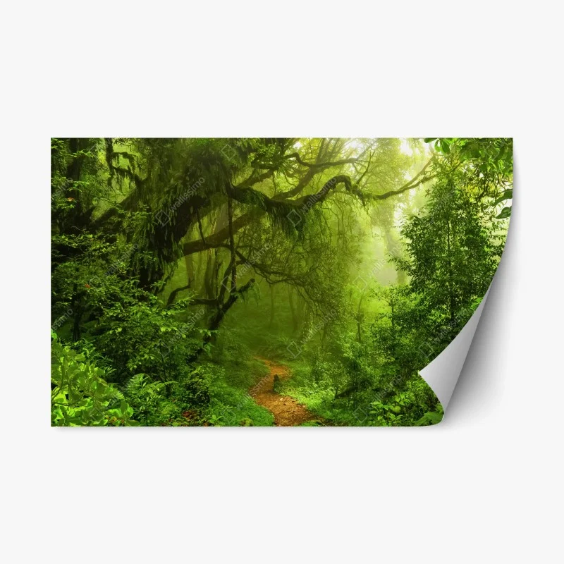 Repositionierbarer Aufkleber üppiger grüner waldpfad