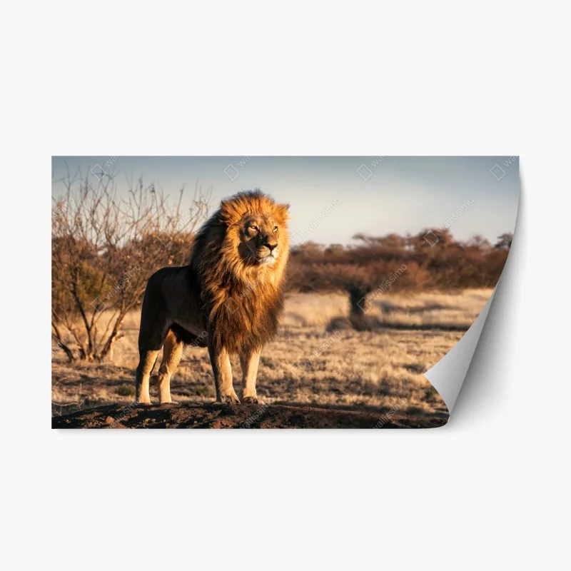 Tiere – Wallnifity®