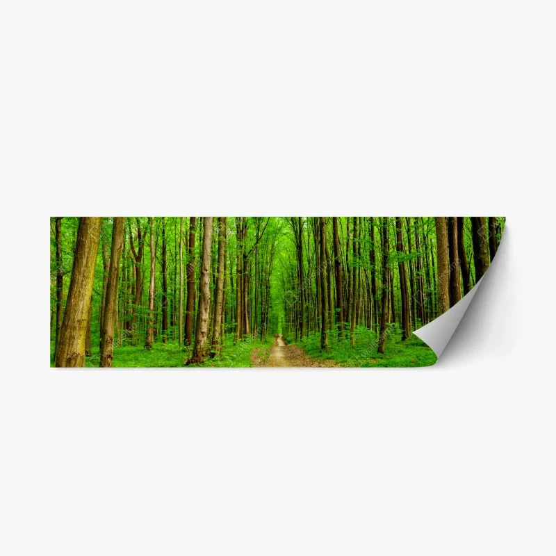 Repositionierbarer Aufkleber grüner waldweg im frühling – Wallnifity®