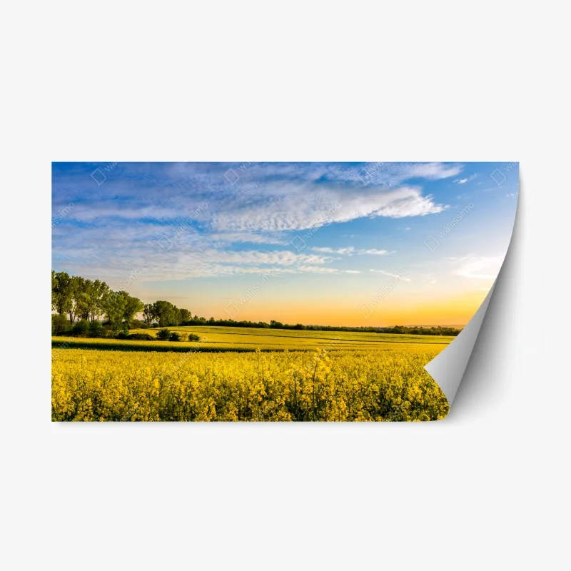 Rustikal – Wallnifity®