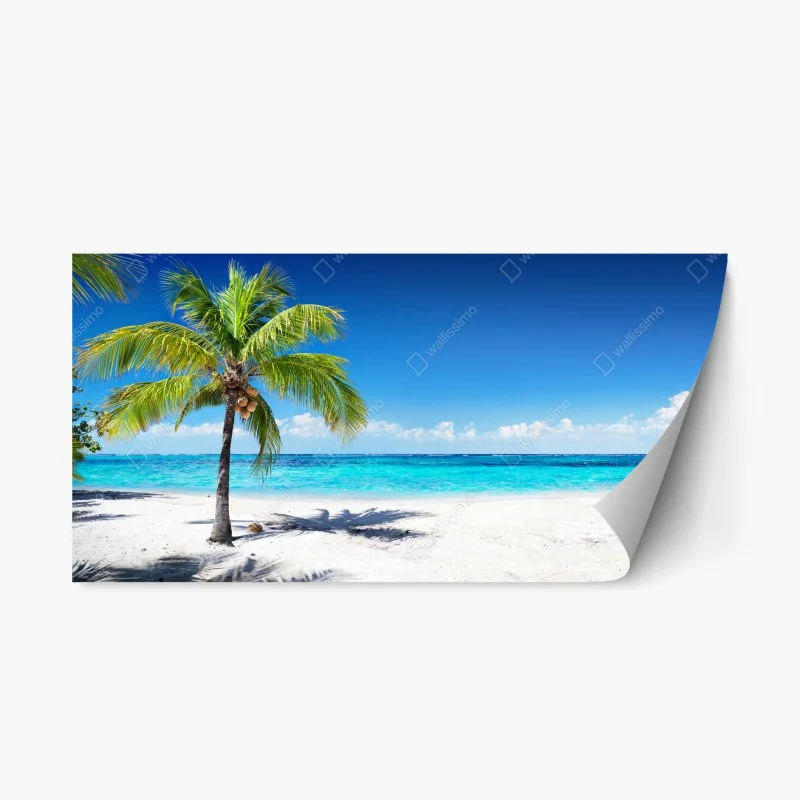 Natur – Wallnifity®