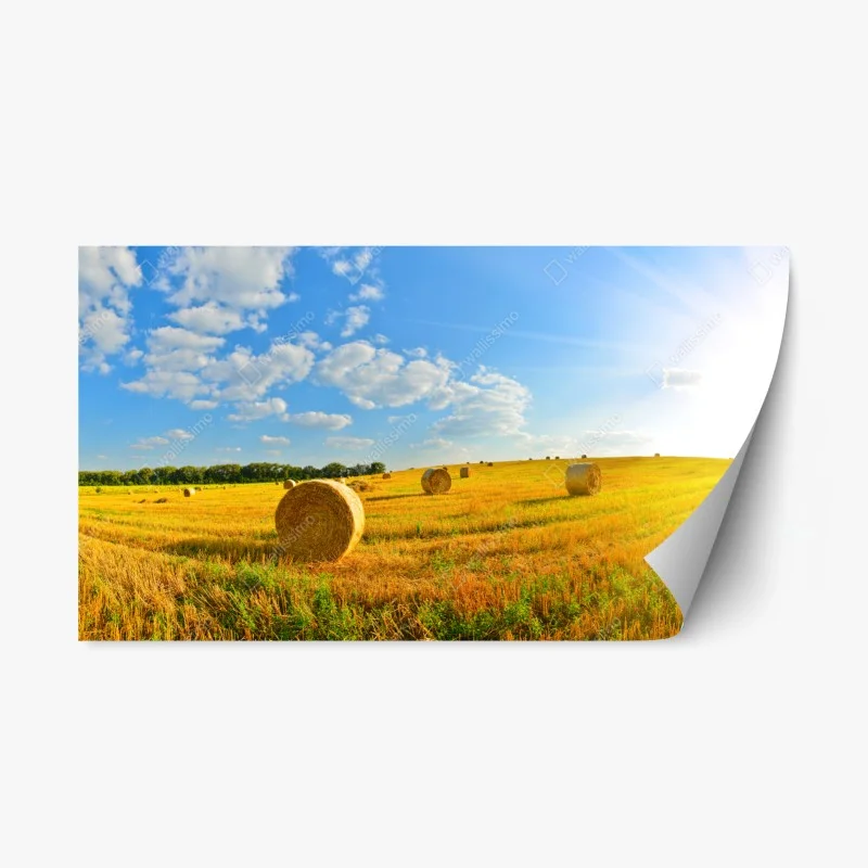 Rustikal – Wallnifity®