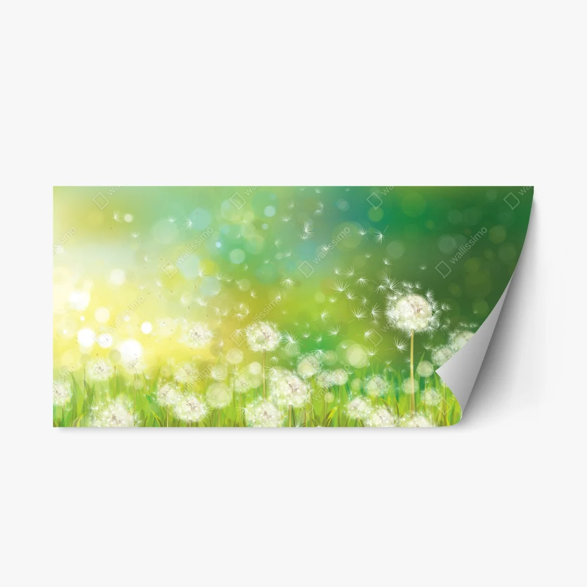 Repositionierbarer Aufkleber frühlingswiese mit löwenzahn – Wallnifity® Repositionierbarer Aufkleber frühlingswiese mit löwenzahn – Wallnifity®
