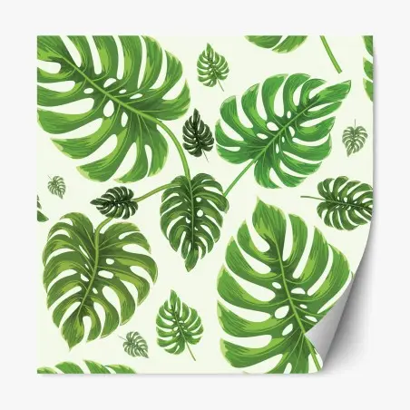 Repositionierbarer Aufkleber tropisches monstera-blattmuster – Wallnifity®