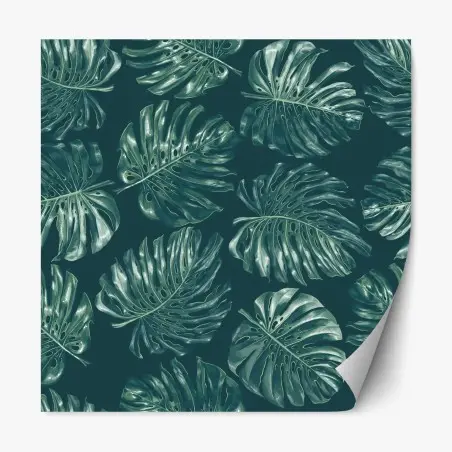 Repositionierbarer Aufkleber tropisches monstera-blattmuster – Wallnifity®