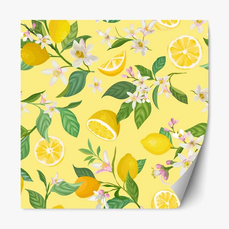 Obst & Gemüse – Wallnifity®