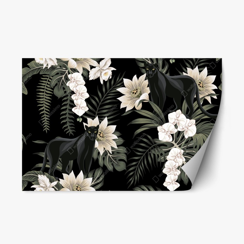Tiere – Wallnifity®