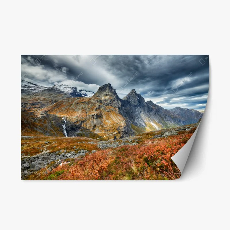 Natur – Wallnifity®