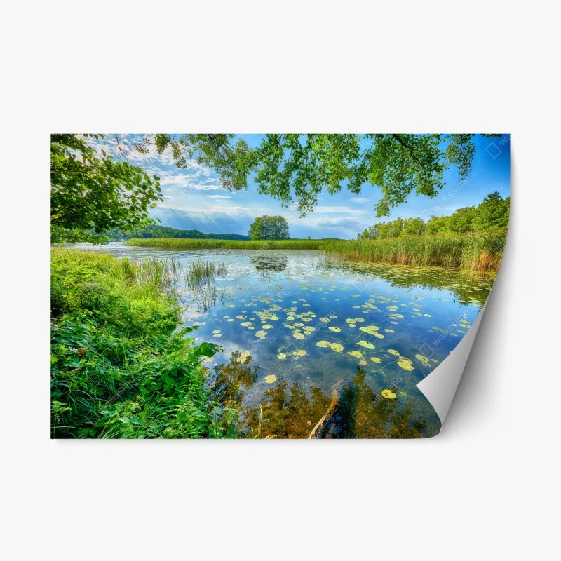 Natur – Wallnifity®
