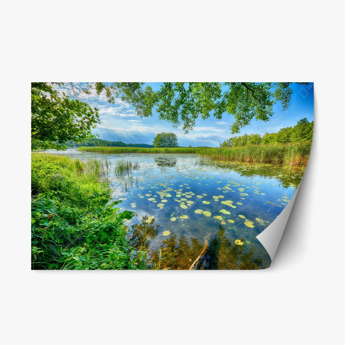 Repositionierbarer Aufkleber sommer am Masurensee – Wallnifity® Repositionierbarer Aufkleber sommer am Masurensee – Wallnifity®