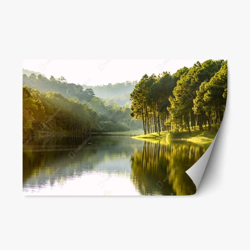 Repositionierbarer Aufkleber ruhiger kiefernwald am stillen see – Wallnifity®