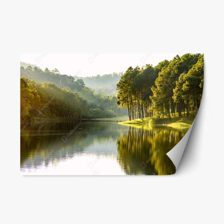 Repositionierbarer Aufkleber ruhiger kiefernwald am stillen see – Wallnifity®