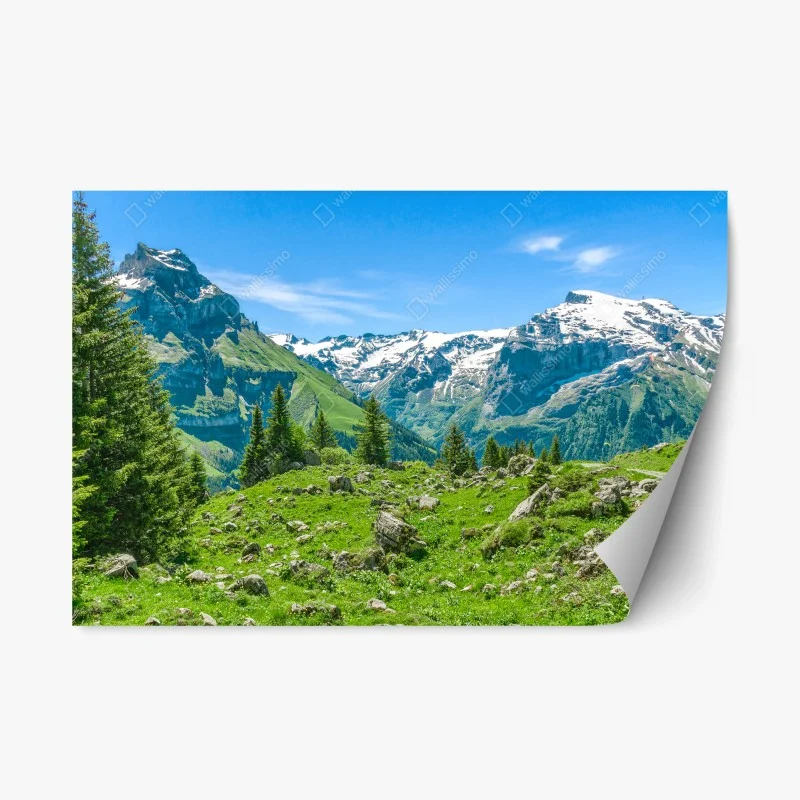 Berge – Wallnifity®