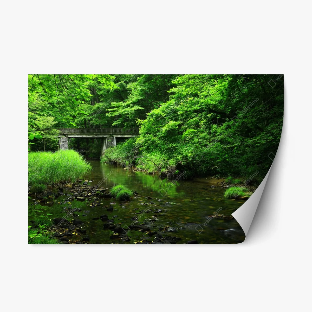 Repositionierbarer Aufkleber üppiger grüner waldbach mit steinbrücke – Wallnifity® Repositionierbarer Aufkleber üppiger grüner waldbach mit steinbrücke – Wallnifity®