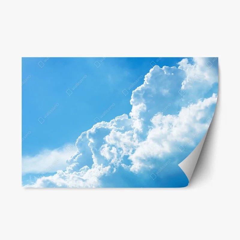 Landschaften – Wallnifity®