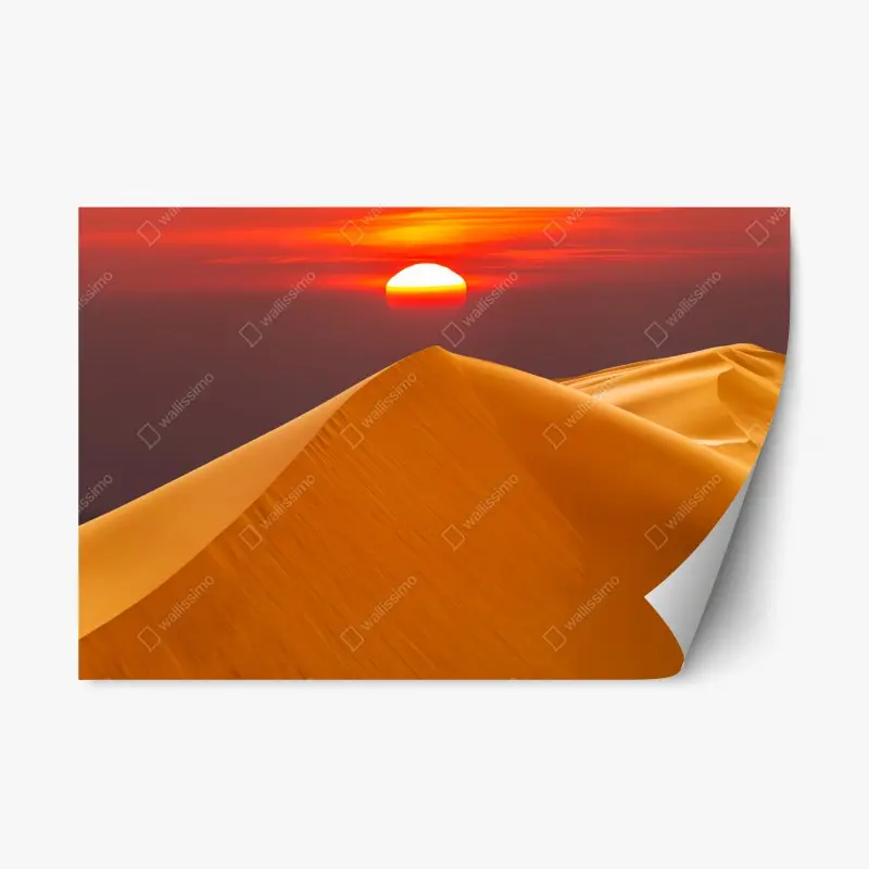 Wüste – Wallnifity®