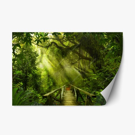 Repositionierbarer Aufkleber sonnenbeschienener waldweg – Wallnifity®