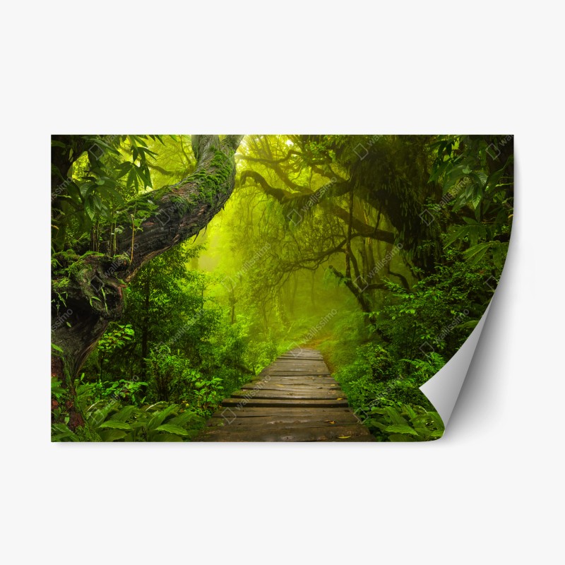 Aufkleber – Wallnifity®