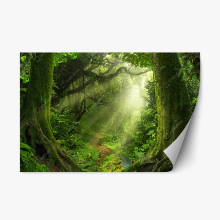 Repositionierbarer Aufkleber sonnenbeschienener moosiger waldpfad – Wallnifity®