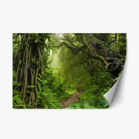 Repositionierbarer Aufkleber üppiger nebliger waldpfad – Wallnifity®