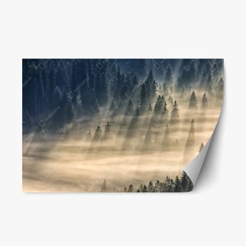 Natur – Wallnifity®