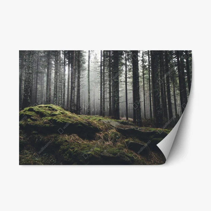 Natur – Wallnifity®