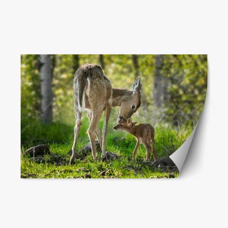 Repositionierbarer Aufkleber hirsch und kitz im sonnendurchfluteten wald – Wallnifity®