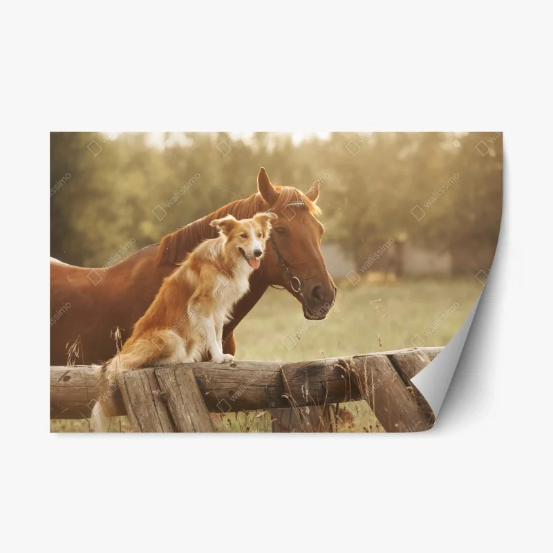 Haustiere – Wallnifity®